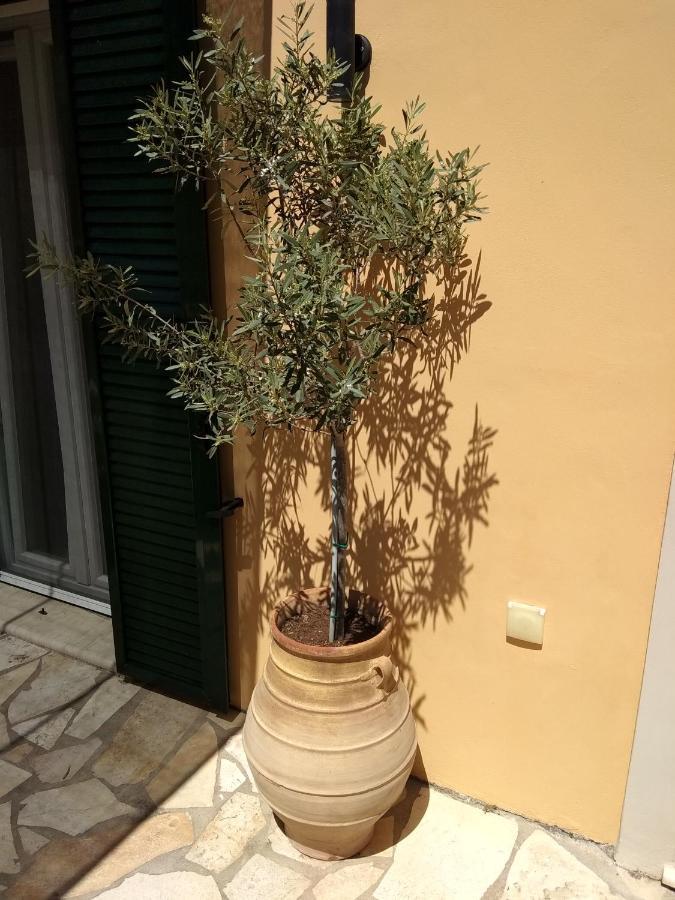 Eirini'S House Liapadesアパートメント エクステリア 写真